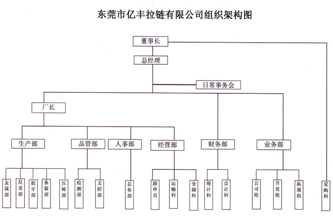 組織架構 - 東莞麻豆精品一区二区麻豆黄片免费在线观看有限公司