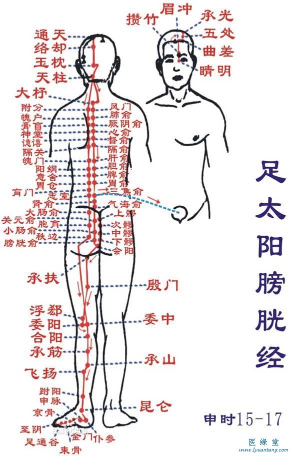 如何利用足太陽膀胱經“生命麻豆黄片免费在线观看”提精神，增加健康指數